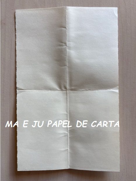ELENA URCHINS NOTECARD IMPORTADO = EU25 - Imagem 4