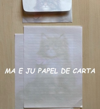 CAPA + CONJUNTO 322.12