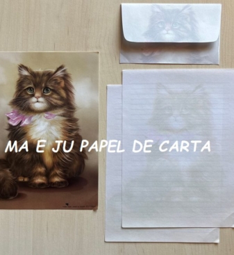 CAPA + CONJUNTO 322.9