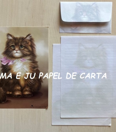 CAPA + CONJUNTO 322.9